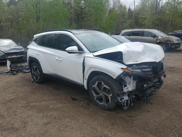 Vin: km8jcca17pu105413, lot: 57029035, hyundai tucson luxury 20234
