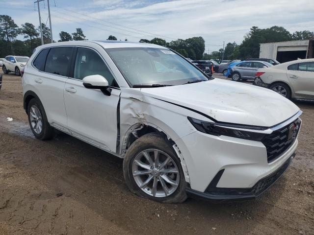 Vin: 2hkrs3h77ph302483, lot: 58590905, honda crv exl 20234