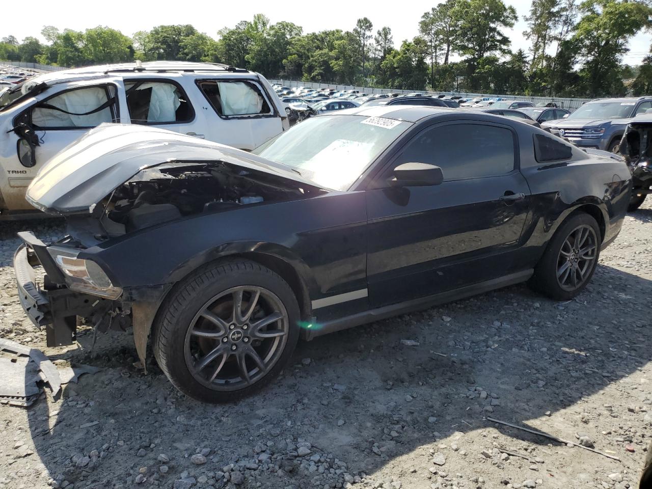 FORD MUSTANG