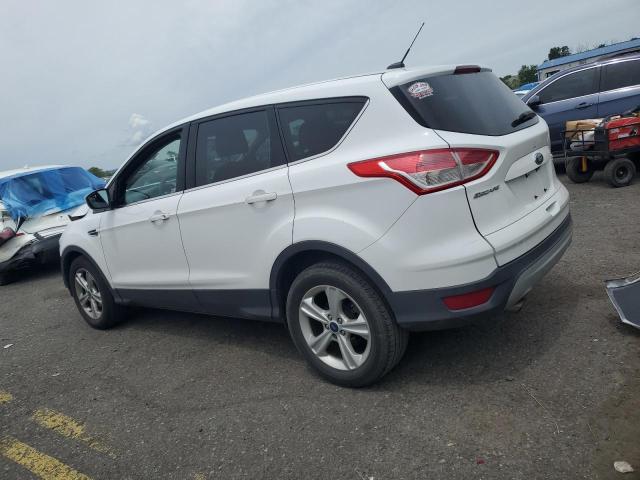 Vin: 1fmcu0gxxfuc06296, lot: 58606705, ford escape se 20152