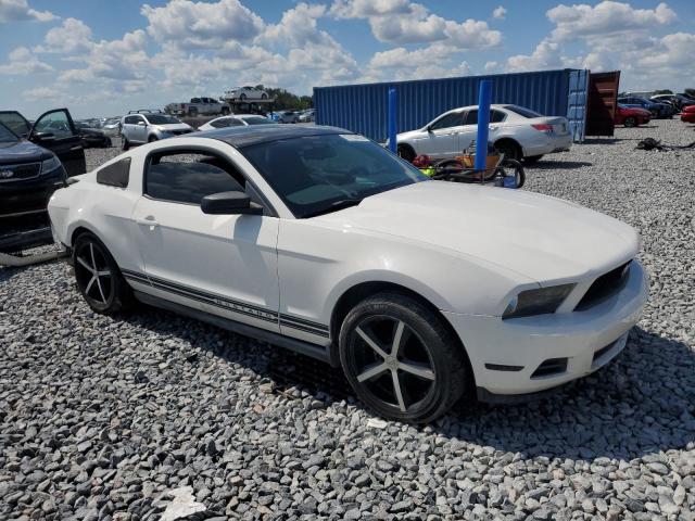 2010 FORD MUSTANG - 1ZVBP8AN8A5118621