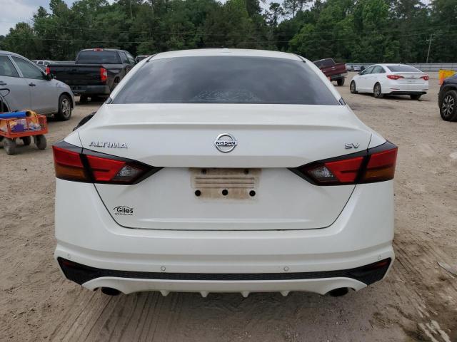2019 NISSAN ALTIMA SV - 1N4BL4DV5KC131543