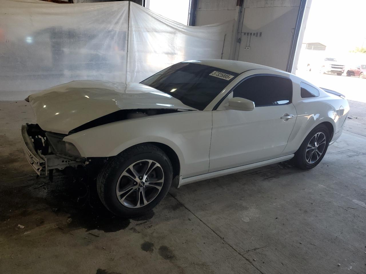 FORD MUSTANG