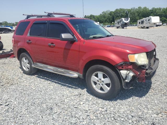 Vin: 1fmcu0d72akd02691, lot: 57144015, ford escape xlt 20104