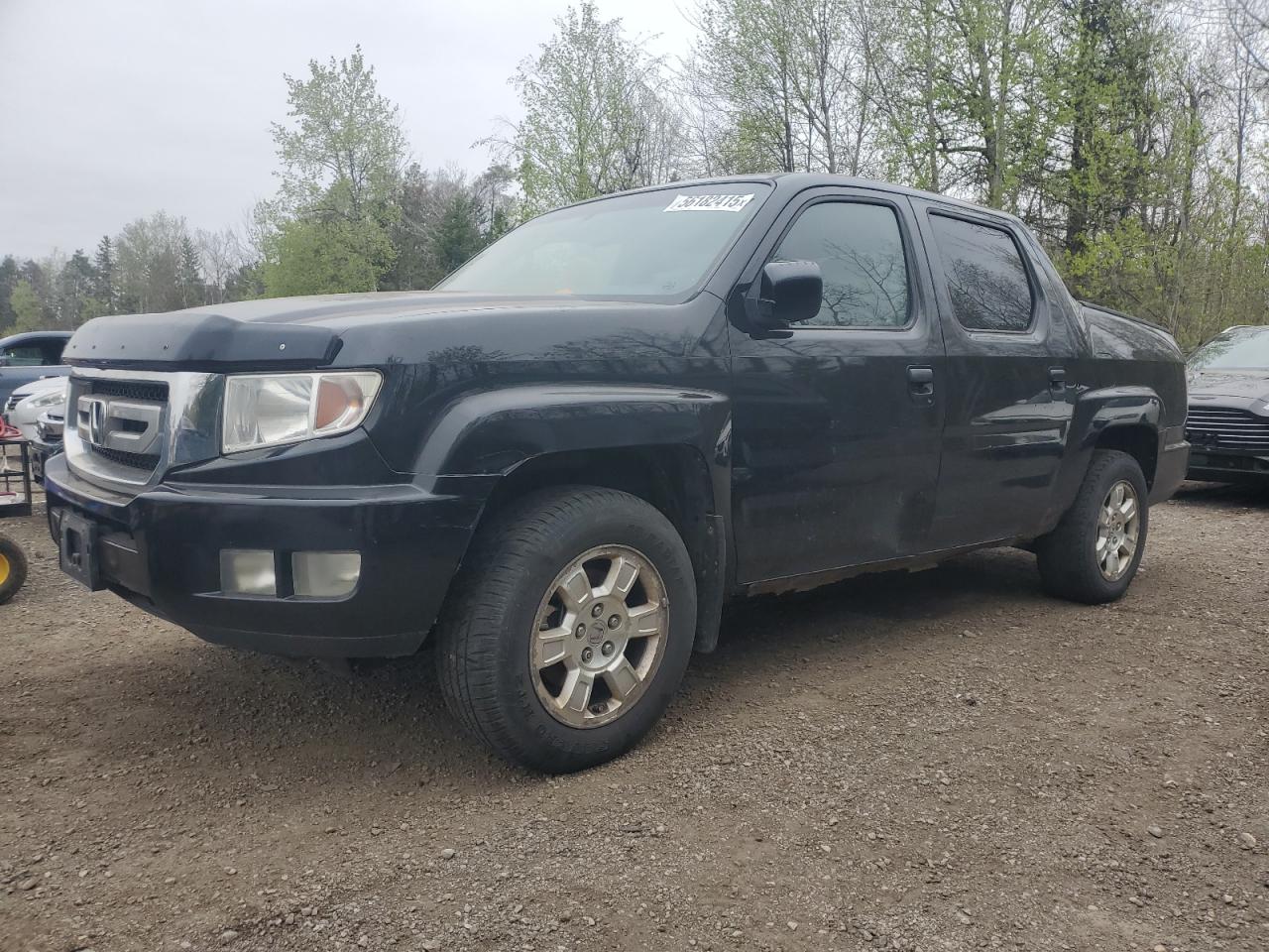 HONDA RIDGELINE RTL