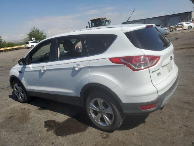 FORD ESCAPE SE 2014 white 4dr spor gas 1FMCU9G96EUA15429 photo #3