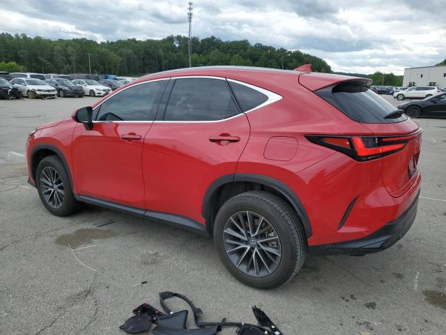 2023 LEXUS NX 250 2T2ADCEZ7PC002924
