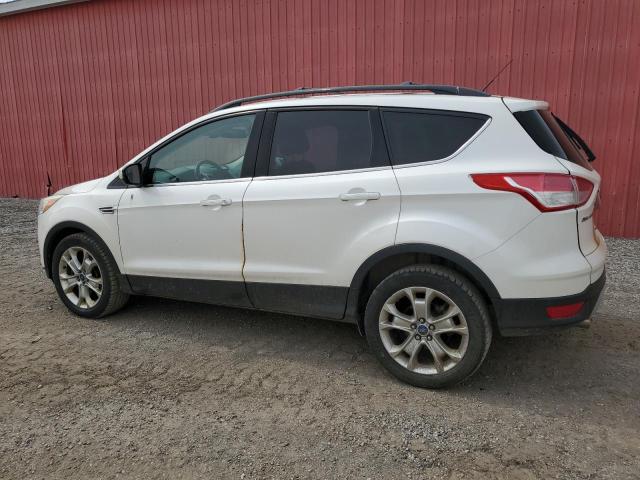 Vin: 1fmcu0h90duc81876, lot: 59096075, ford escape sel 20132