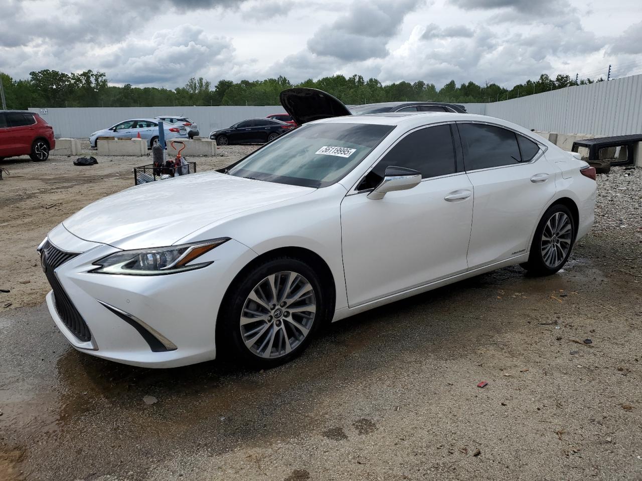 LEXUS ES 300H