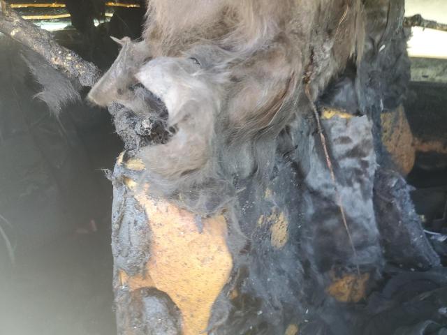 2020 DODGE CHALLENGER 2C3CDZBT0LH174426