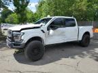 2017 FORD F150 RAPTO - 1FTFW1RG3HFA54206