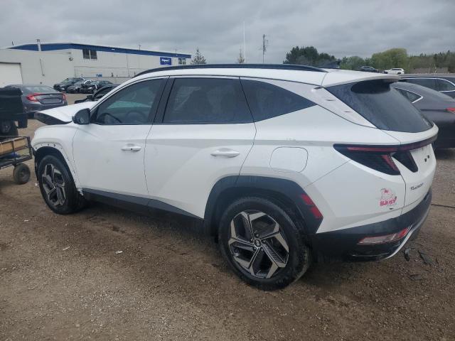 Vin: km8jcca17pu105413, lot: 57029035, hyundai tucson luxury 20232