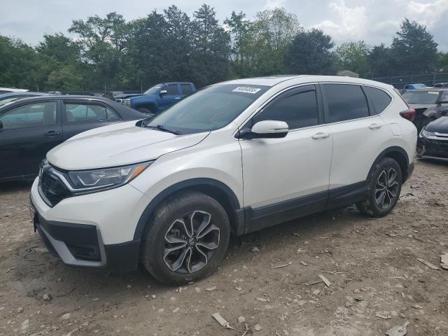 HONDA CR-V EX