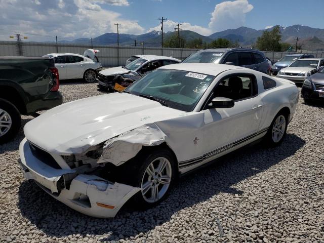 Vin: 1zvbp8an3a5149226, lot: 58137155, ford all models 2010 img_1