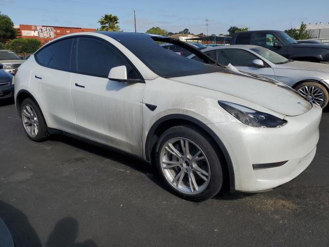 Vin: 7saygdee1rf025842, lot: 56226065, tesla model y 20244