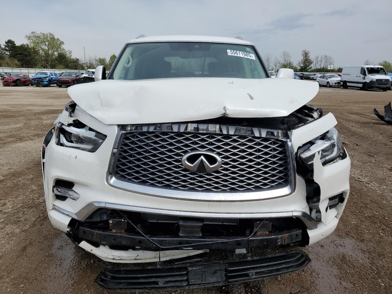 INFINITI QX80 2019