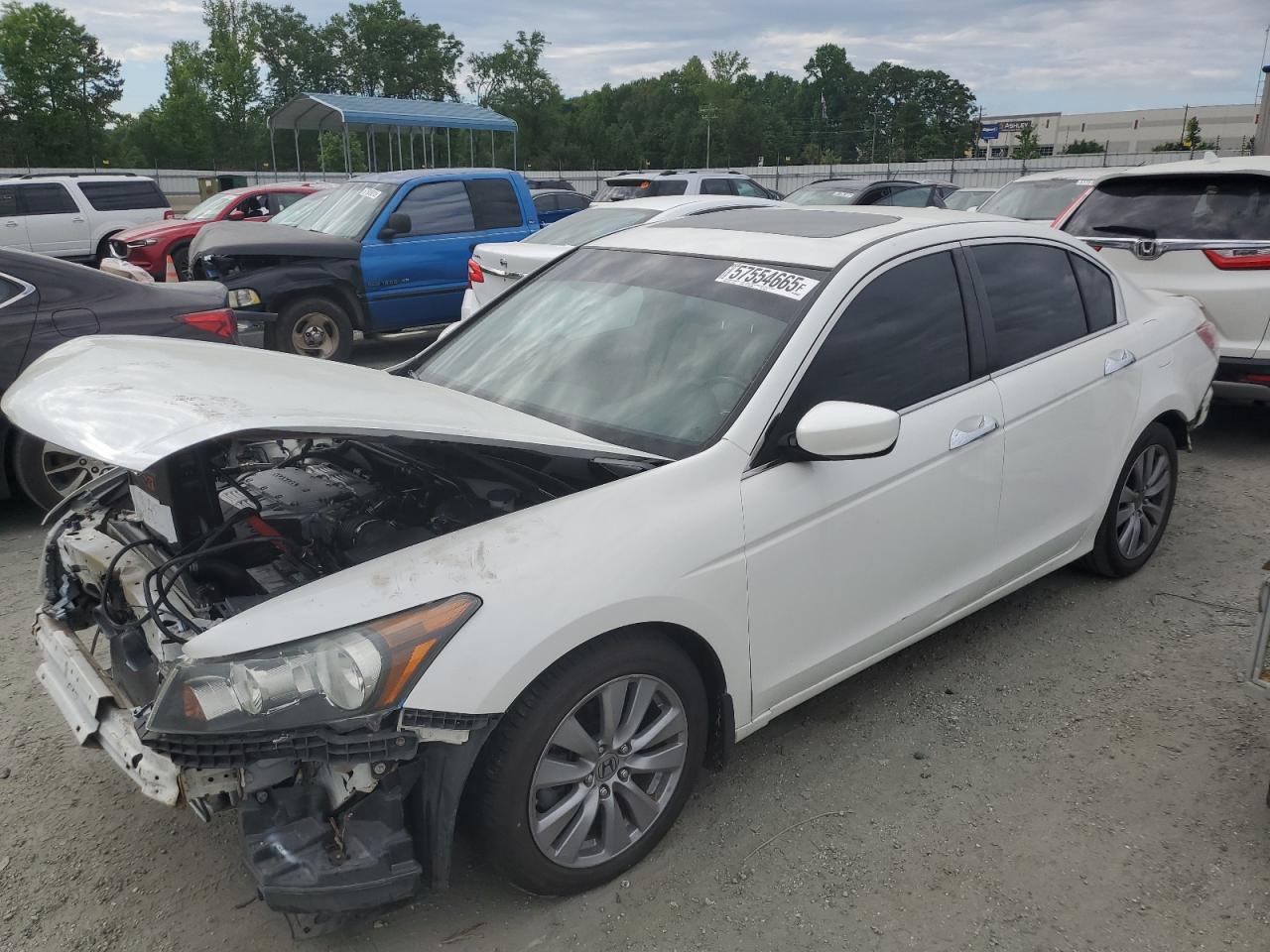 Lot #3281481002 2012 HONDA ACCORD EXL