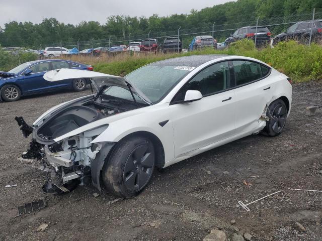 Vin: 5yj3e1ea5pf577642, lot: 57292195, tesla model 3 2023 img_1