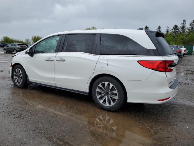 Vin: 5fnrl6h62nb502754, lot: 56229735, honda all models exl 20222