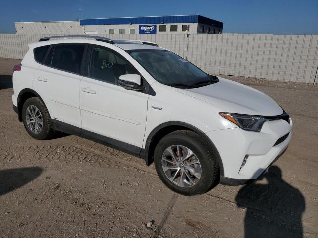 Vin: jtmrjrev9gd004936, lot: 55813045, toyota rav4 xle 20164