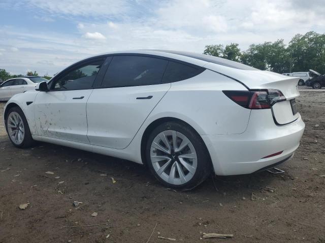 2021 TESLA MODEL 3 - 5YJ3E1EB7MF032563