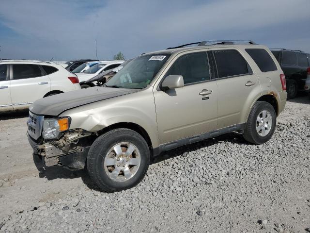 Vin: 1fmcu9eg7ckc44647, lot: 50985925, ford escape limited 2012 img_1