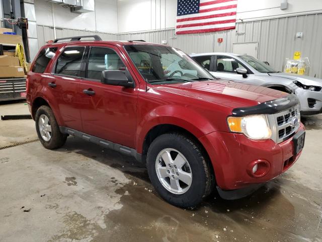 2011 FORD ESCAPE XLT - 1FMCU9D71BKC11644