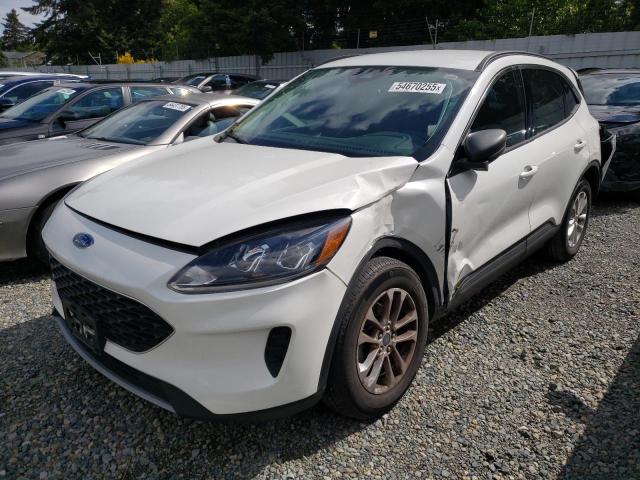 Vin: 1fmcu0g62nub60341, lot: 54670255, ford escape se 2022 img_1