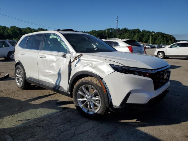 2023 HONDA CR-V EXL 7FARS4H71PE023992