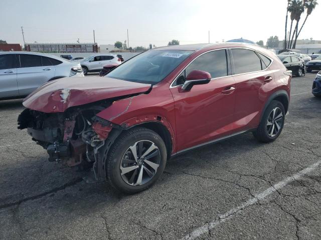 Vin: jtjdarbz3l5007219, lot: 58229865, lexus nx 300 2020 img_1