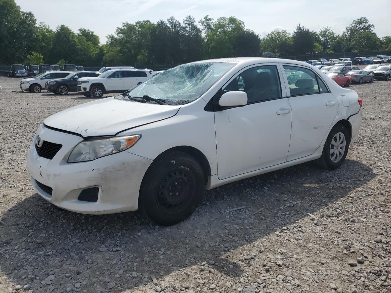 TOYOTA COROLLA BASE