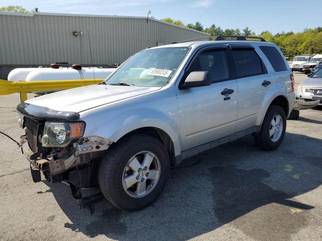 Vin: 1fmcu9dg8akd21489, lot: 55990245, ford escape xlt 2010 img_1