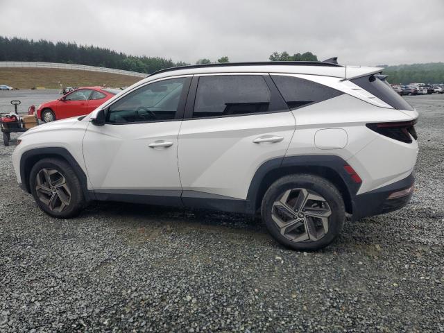 Vin: 5nmjf3ae9ph187831, lot: 56219045, hyundai tucson sel 20232
