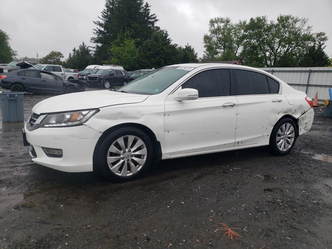 HONDA ACCORD EXL
