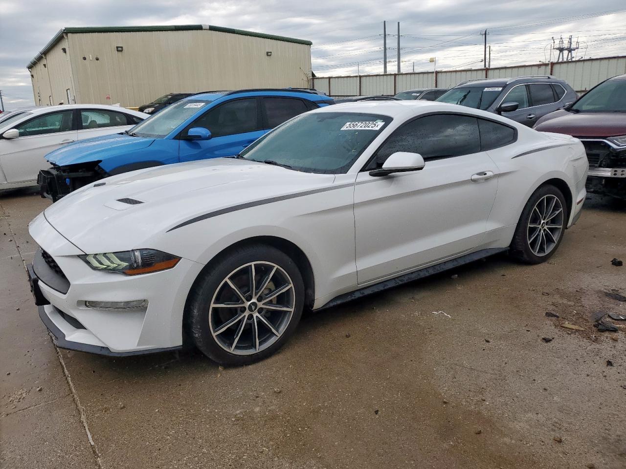 FORD MUSTANG