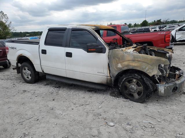 Vin: 1ftfw1et9dkd49587, lot: 56917335, ford f-150 supercrew 20134