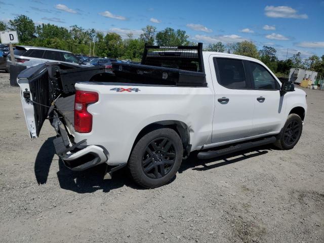 Vin: 1gcpdbek7rz179073, lot: 56887125, chevrolet all models k1500 custom 20243