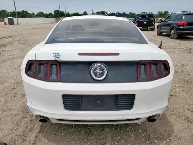 2013 FORD MUSTANG - 1ZVBP8AM1D5279002
