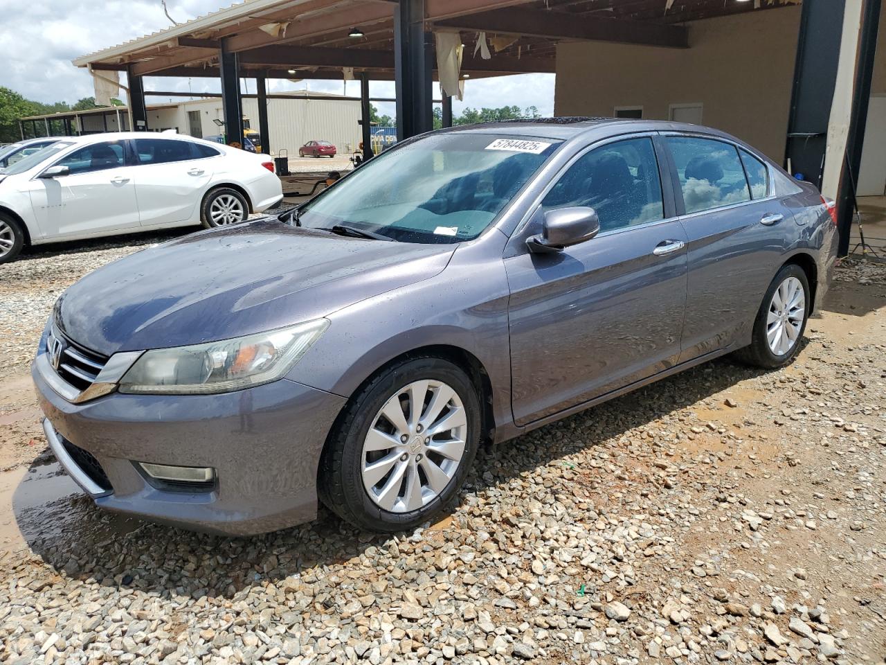 HONDA ACCORD EX