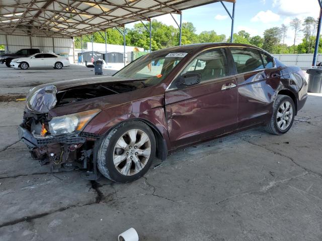 HONDA ACCORD EXL