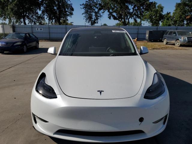 2024 TESLA MODEL Y 7SAYGDEE2RF071146