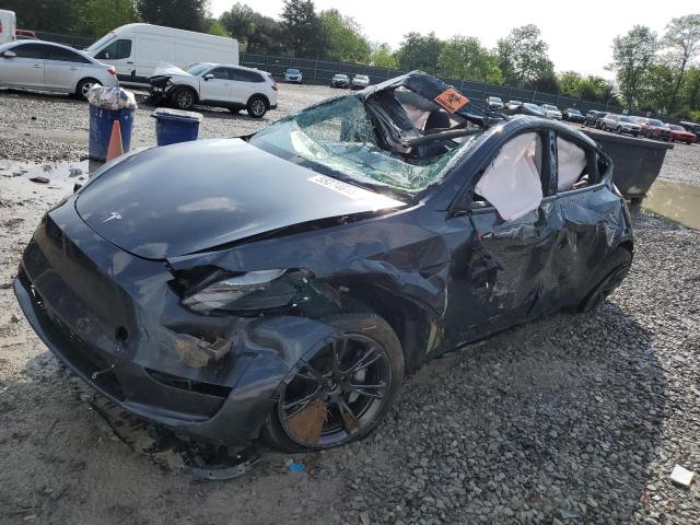 Vin: 7saygdeexra324517, lot: 55274615, tesla model y 2024 img_1