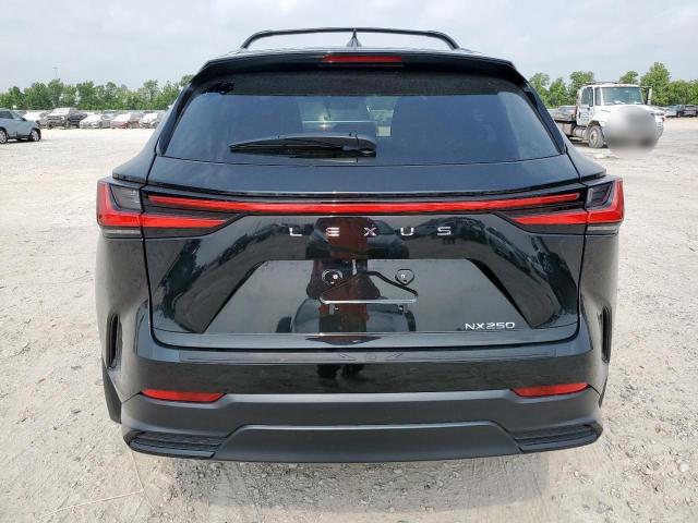 2025 LEXUS NX 250 BAS 2T2ADCAZ2SC022917