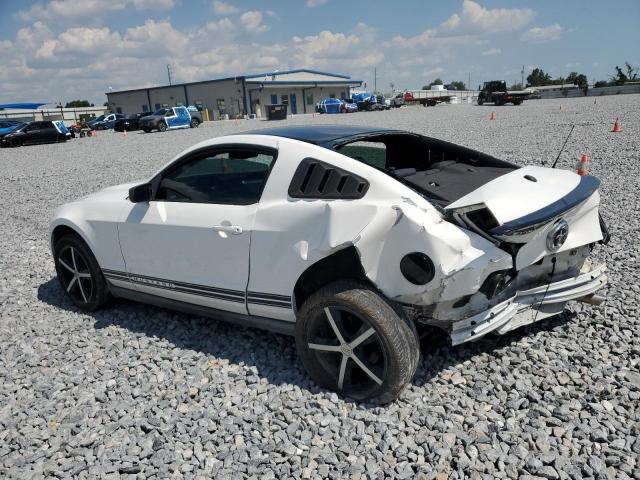 2010 FORD MUSTANG - 1ZVBP8AN8A5118621