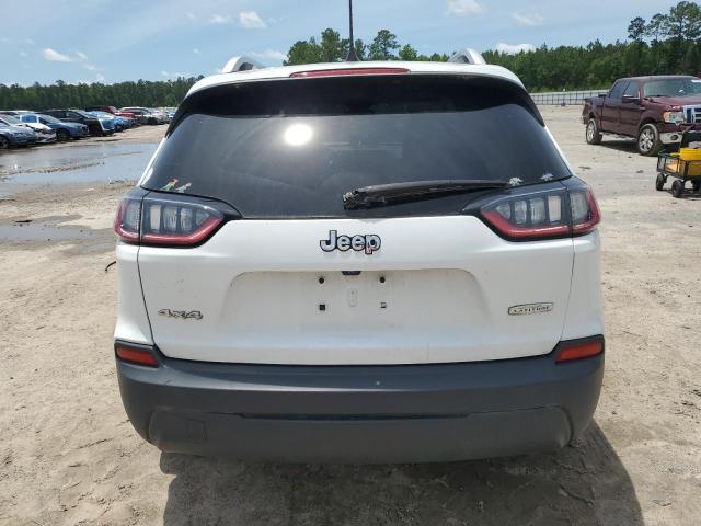 2019 JEEP CHEROKEE L - 1C4PJMLBXKD191003