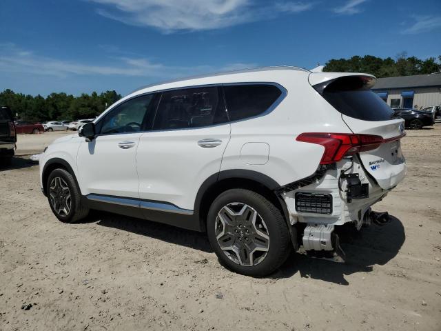 2023 HYUNDAI SANTA FE L 5NMS44AL6PH609813