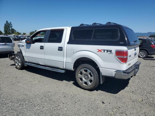 Vin: 1ftfw1ev9afb56605, lot: 54976765, ford f-150 supercrew 20102