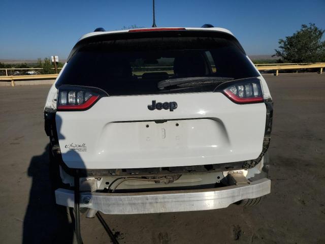 2019 JEEP CHEROKEE L 1C4PJLLB2KD377323