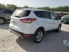 Lot #3303073759 2014 FORD ESCAPE SE