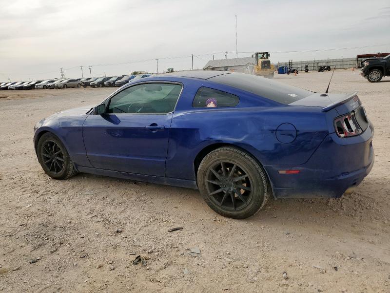 Vin: 1zvbp8am2e5215150, lot: 56136135, ford all models 20142